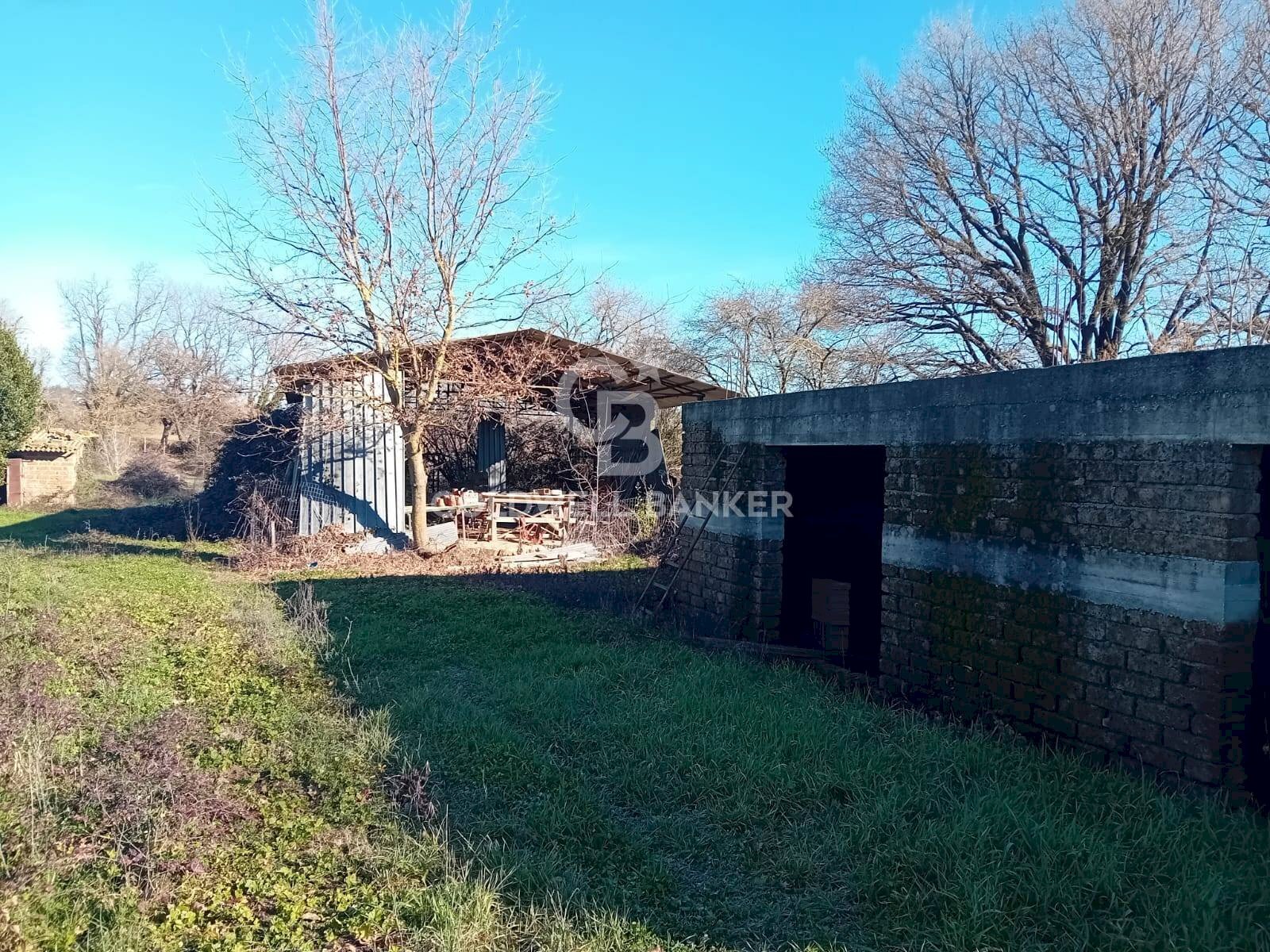 Foto 2 - Terreno agricolo strada creti, Sutri - foto 2