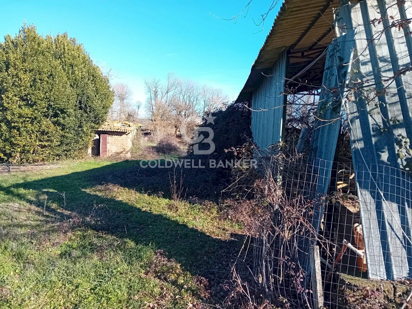 Foto 3 - Terreno agricolo strada creti, Sutri - foto 3