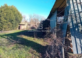 Foto 3 - Terreno agricolo strada creti, Sutri - foto 3