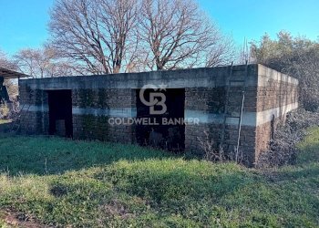 Foto 4 - Terreno agricolo strada creti, Sutri - foto 4