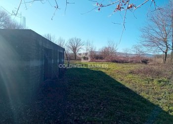 Foto 5 - Terreno agricolo strada creti, Sutri - foto 5