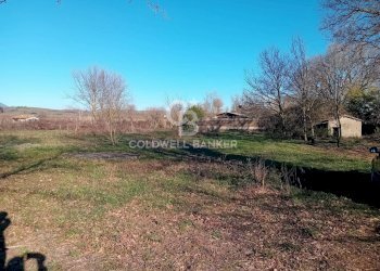 Foto 6 - Terreno agricolo strada creti, Sutri - foto 6