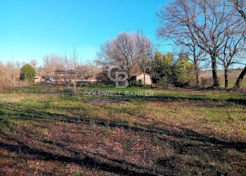 Foto 8 - Terreno agricolo strada creti, Sutri - foto 8