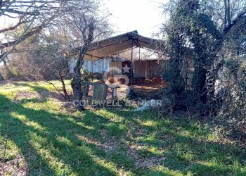 Foto 11 - Terreno agricolo strada creti, Sutri - foto 11