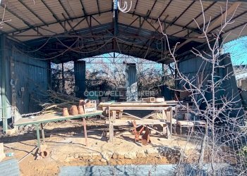 Foto 12 - Terreno agricolo strada creti, Sutri - foto 12