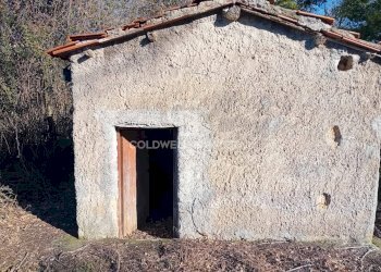 Foto 13 - Terreno agricolo strada creti, Sutri - foto 13