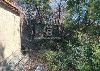 Foto 14 - Terreno agricolo strada creti, Sutri - foto 14