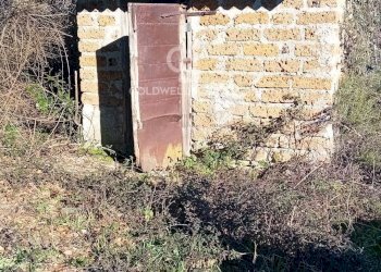 Foto 15 - Terreno agricolo strada creti, Sutri - foto 15