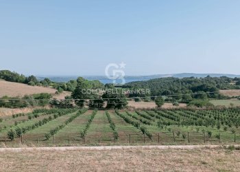 Foto 6 - Villa Via Valle Mola, Sutri - foto 6