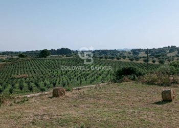 Foto 18 - Villa Via Valle Mola, Sutri - foto 18