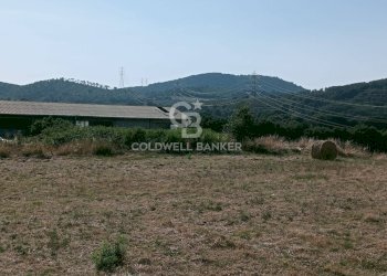 Foto 20 - Villa Via Valle Mola, Sutri - foto 20