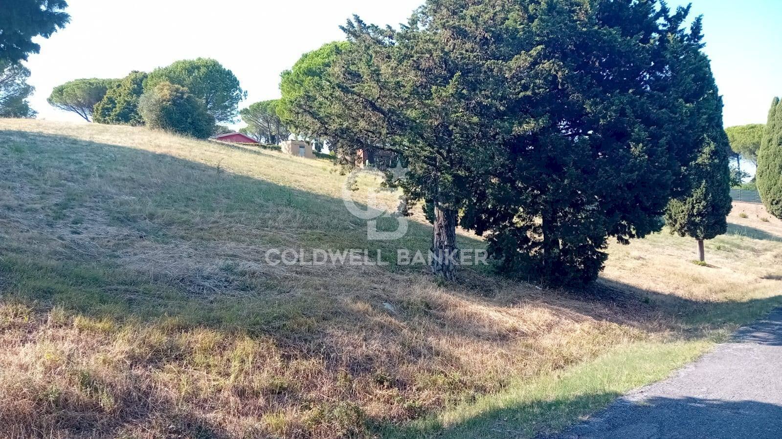 Foto 1 - Terreno agricolo via delle cicogne, Sutri - foto 1