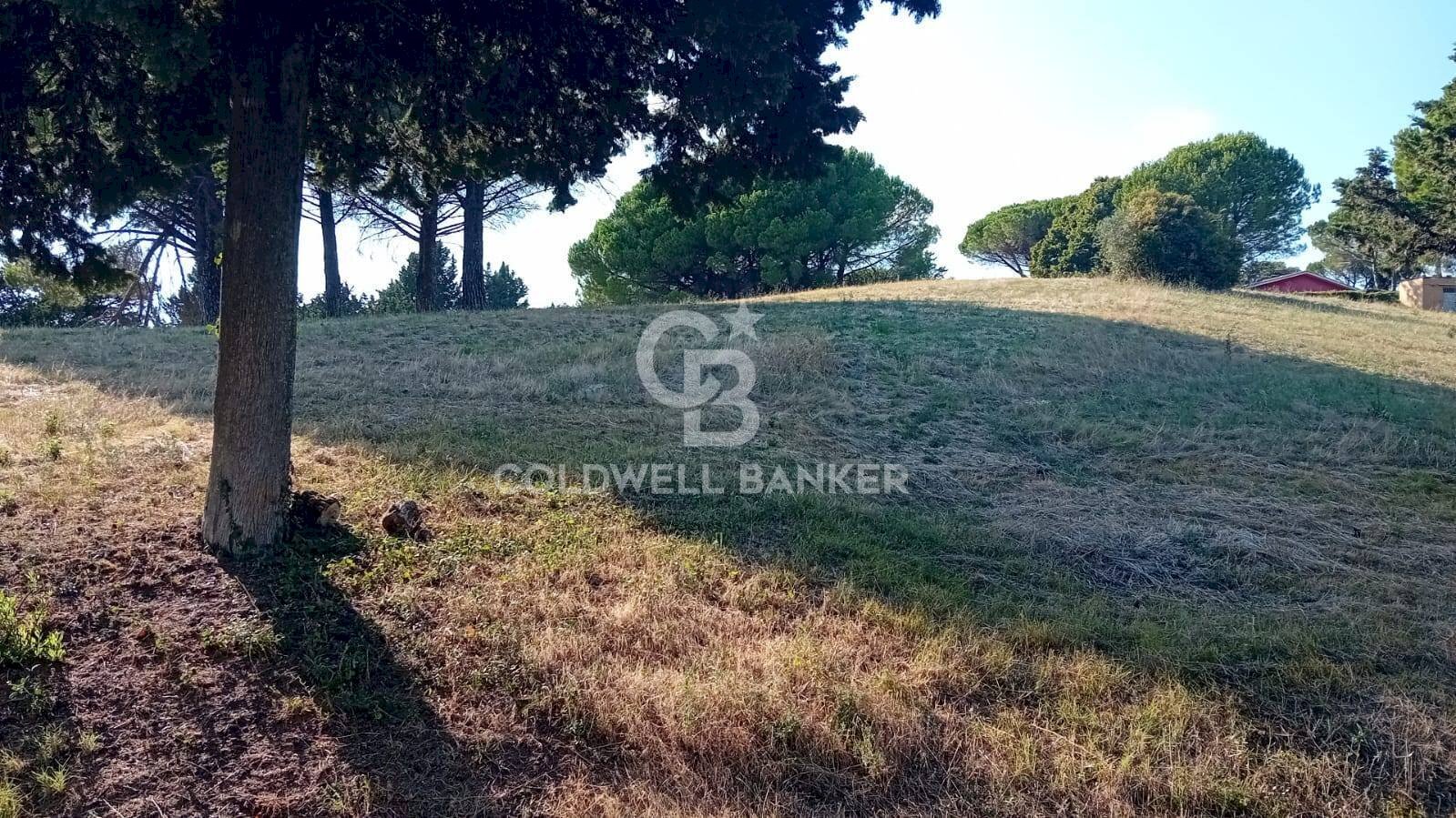 Foto 2 - Terreno agricolo via delle cicogne, Sutri - foto 2