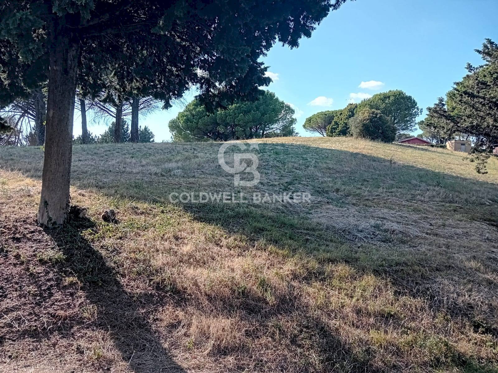 Foto 3 - Terreno agricolo via delle cicogne, Sutri - foto 3