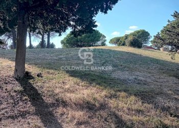 Foto 3 - Terreno agricolo via delle cicogne, Sutri - foto 3