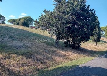 Foto 4 - Terreno agricolo via delle cicogne, Sutri - foto 4