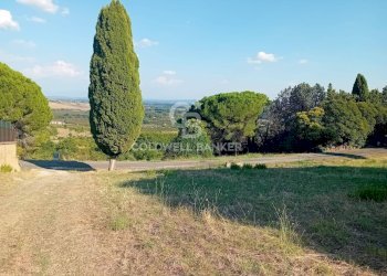 Foto 6 - Terreno agricolo via delle cicogne, Sutri - foto 6