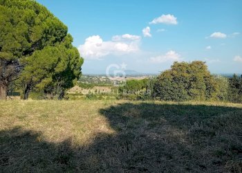 Foto 9 - Terreno agricolo via delle cicogne, Sutri - foto 9