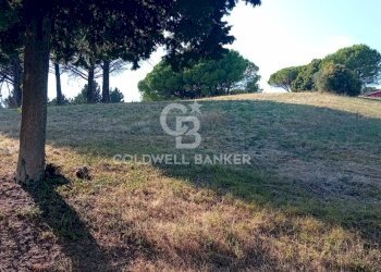 Foto 10 - Terreno agricolo via delle cicogne, Sutri - foto 10