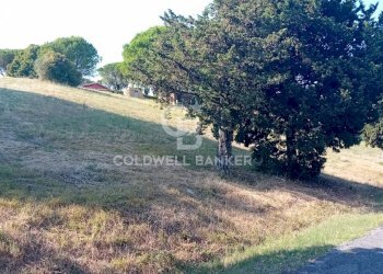 Foto 11 - Terreno agricolo via delle cicogne, Sutri - foto 11