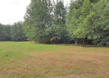 Foto 1 - Terreno agricolo Via Firenze
 
1, Altopascio - foto 1