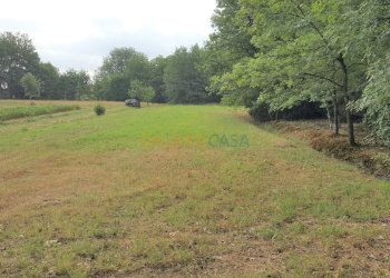 Foto 3 - Terreno agricolo Via Firenze
 
1, Altopascio - foto 3