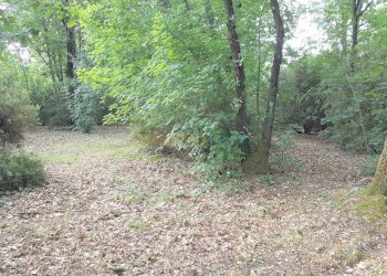 Foto 4 - Terreno agricolo Via Firenze
 
1, Altopascio - foto 4