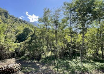 Terreno - Capannone strada Regione Fornaci, 19, Peveragno - foto 11