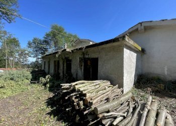 Stalla - Capannone strada Regione Fornaci, 19, Peveragno - foto 24