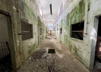 Stalla - Capannone strada Regione Fornaci, 19, Peveragno - foto 27