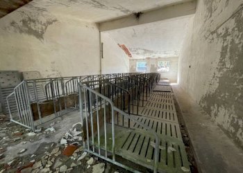 Stalla - Capannone strada Regione Fornaci, 19, Peveragno - foto 28