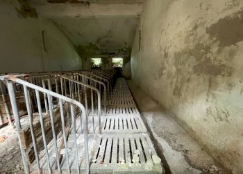 Stalla - Capannone strada Regione Fornaci, 19, Peveragno - foto 30