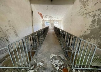 Stalla - Capannone strada Regione Fornaci, 19, Peveragno - foto 31