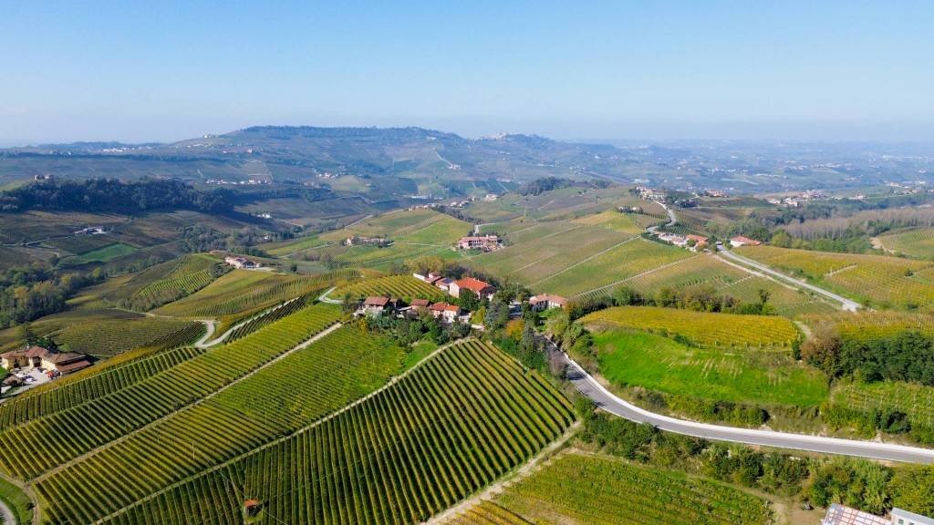 Terreno - Agricultural land Località Bussia, Monforte d'Alba - photo 2