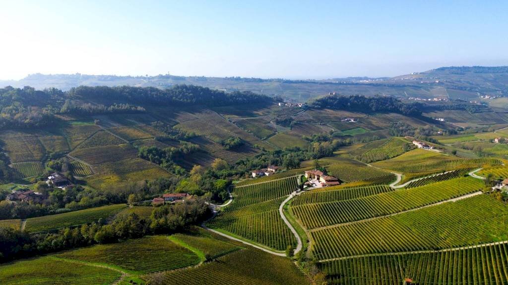 Terreno - Agricultural land Località Bussia, Monforte d'Alba - photo 3