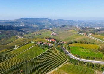 Terreno - Terreno agricolo Località Bussia, Monforte d'Alba - foto 2