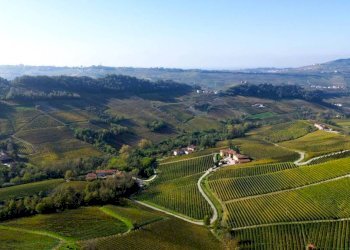 Terreno - Terreno agricolo Località Bussia, Monforte d'Alba - foto 3