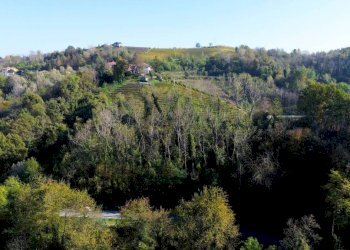 Terreno - Terreno agricolo Località Bussia, Monforte d'Alba - foto 4