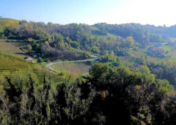 Terreno - Terreno agricolo Località Bussia, Monforte d'Alba - foto 7