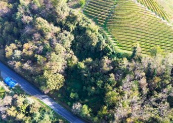 Vista - Terreno agricolo Località Bussia, Monforte d'Alba - foto 13