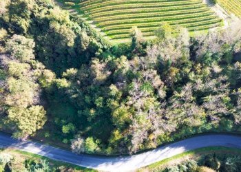 Vista - Terreno agricolo Località Bussia, Monforte d'Alba - foto 15
