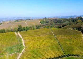 Vista - Terreno agricolo Località Bussia, Monforte d'Alba - foto 17
