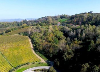 Vista - Terreno agricolo Località Bussia, Monforte d'Alba - foto 18