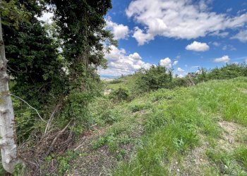 Terreno - Terreno agricolo Località Bussia, Monforte d'Alba - foto 21