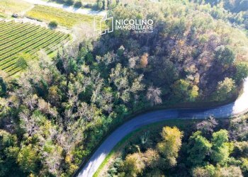 Terreno - Terreno agricolo Località Bussia, Monforte d'Alba - foto 1