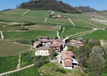 Vista - Three-room apartment Località San Giuseppe, 59A, Monforte d'Alba - photo 28