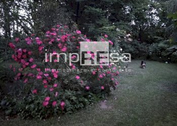 Foto 35 - Villa s. pelajo, Treviso - foto 35