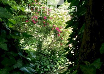 Foto 36 - Villa s. pelajo, Treviso - foto 36