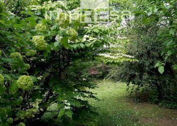 Foto 37 - Villa s. pelajo, Treviso - foto 37