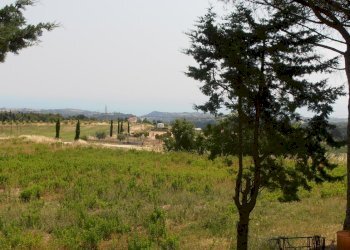 Foto 3 - Rustico Ripatransone Petrella, Ripatransone - foto 3